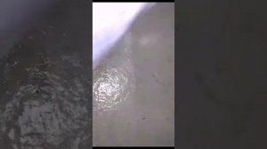 Риб Riverboats R 400 сегодня