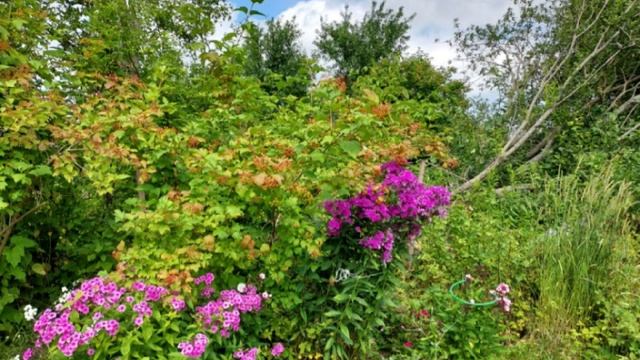 конец июля 2022