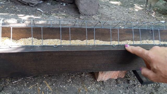 ВАМ ЗА ИДЕЮ-куда использовать лук батун. Кормушки для цыплят. смотреть онлайн