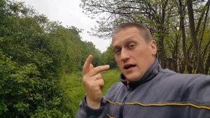 Ам стафф бойцовая собака, самая опасная порода на выгуле без поводка и ошейника