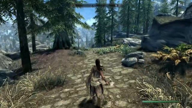 KS Hairdos HDT SMP Physics - Example смотреть онлайн