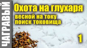 Охота на глухаря весной на току | поиск токовища