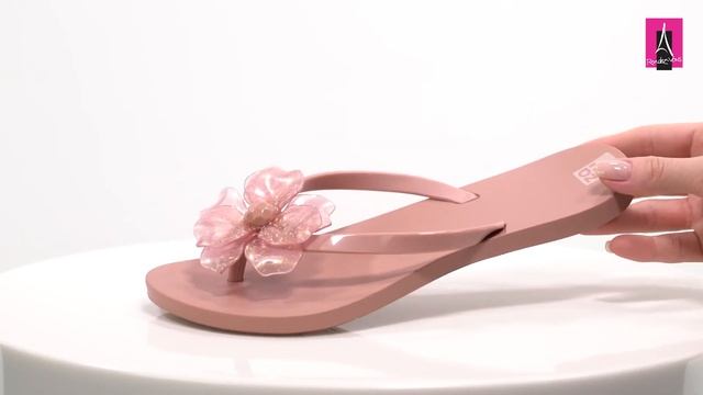 Видеообзор I Женские сланцы ZAXY 2322621 смотреть онлайн