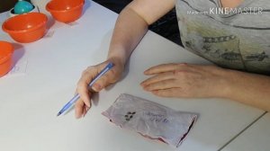 Яблоня из семян. Стратификация 2020 г. Как вырастить яблоню из семечка.