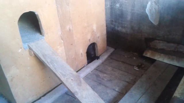 У малышне на Донецком приюте "4 ЛАПКИ" праздник, гости и игрушки смотреть онлайн