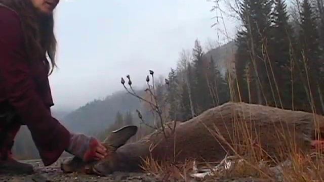 Git R' Done смотреть онлайн