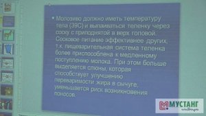 Как вырастить здорового теленка. Часть 1 Выпойка молозива. От Теории к практике.