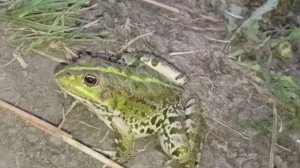 ?Рыбалка теплый канал Новочеркасск? #город61 #рыбалка #рыбалка2023 #рыбалкатеплыйканал