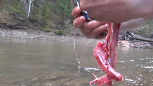 Рыбалка щука Разделываем для соления Выживание в лесу Охота Тайга лес природа в поход солить смотреть онлайн