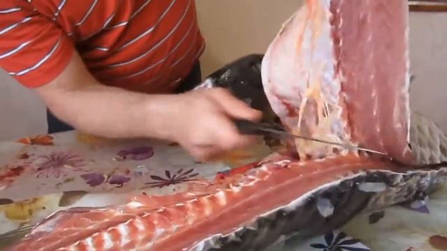 Как Я разделываю огромного карпа. Разделка карпа от А до Я! смотреть онлайн