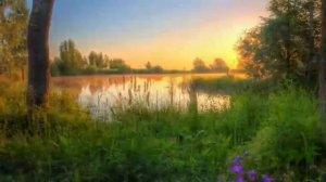 Общее место гордых. Священник Александр Ельчанинов.