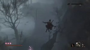 Sekiro - Nobile della nebbia