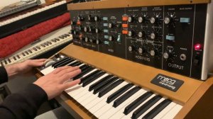 Moog Minimoog Model D Reissue  - Flashlight SynthBass  (cover)