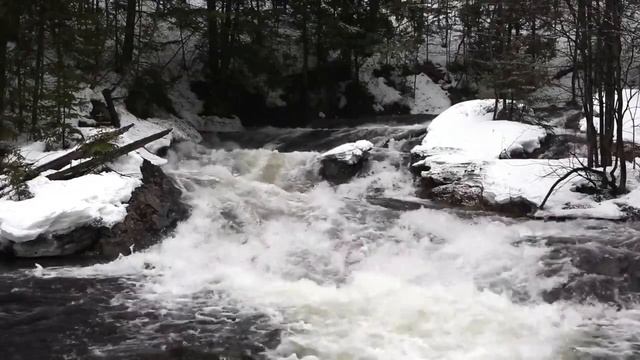 Шумная зимняя река. Расслабляющий шум реки и пение птиц. Шум воды для снятия стресса,медитации,сна.