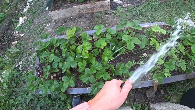 Дел на участке много, ничего не успеваю. смотреть онлайн