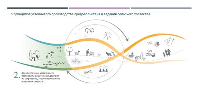 Продовольственная безопасность. Часть 1.