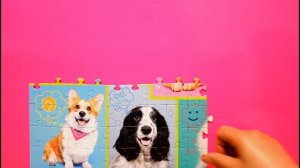 Animal Puzzle , Collection of beautiful Dogs , Jigsaw puzzle