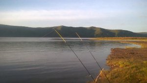 ?Река Амур?Два амурских сазана - вот оно, счастье рыбацкое!?24.06.2020?