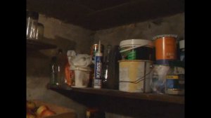 Как хранятся овощи и фрукты в моём подвале!