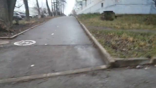 VLOG: Вакцинация щенка йоркширского терьера смотреть онлайн