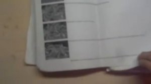 Моя кулинарная книга