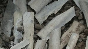 Виноград. Посадка винограда. Технология ч. 1я