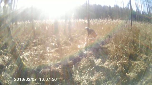 CF MOTO X5,HONDA TRX 250 c.4 смотреть онлайн