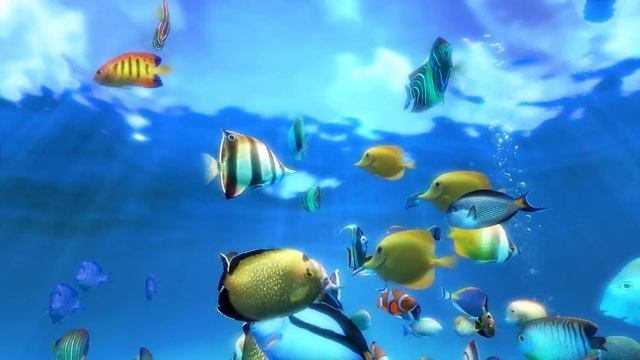 Sim Aquarium scene 4 (4K) смотреть онлайн