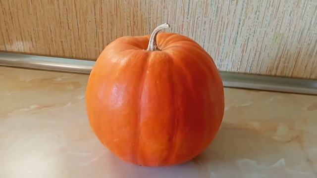 Тыква Стофунтовая. Семена. Обзор.