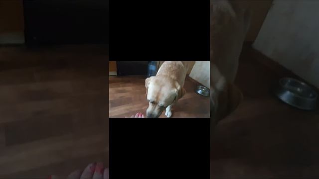 Всем привет смотреть онлайн