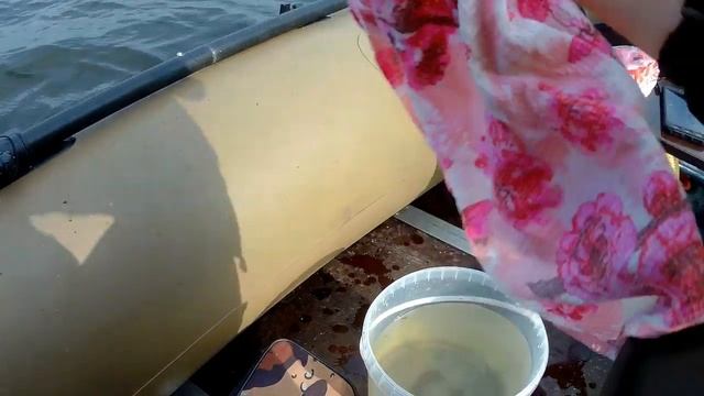 Бешенный клев.Трофейная красноперка.(Рыбалка на удочку с лодки в августе)..