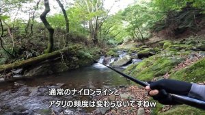 【渓流釣り】ドライフライに磯用フロートラインを試してみた｜提灯ウキ毛鉤釣り(高水温Ver)