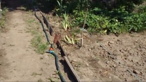 Простая Система для Полива Огорода