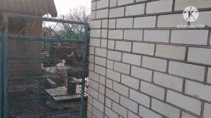 Переезд на юг. 26.02.2023