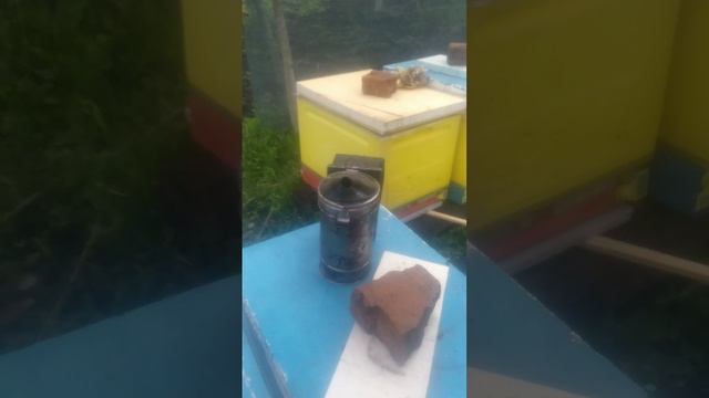 ФХ черноземье