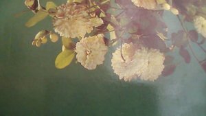 Эй, красотка, хорошая погодка, была бы лодка мы б уплыли с тобой (наброски)