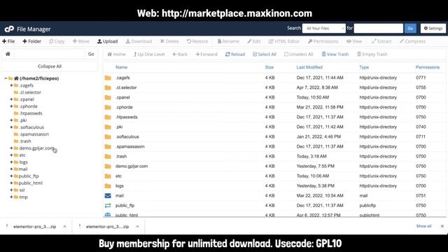 Install GPL Theme and Plugin From cPanel - Forget Upload Size Restriction | Maxkinon Marketplace смотреть онлайн
