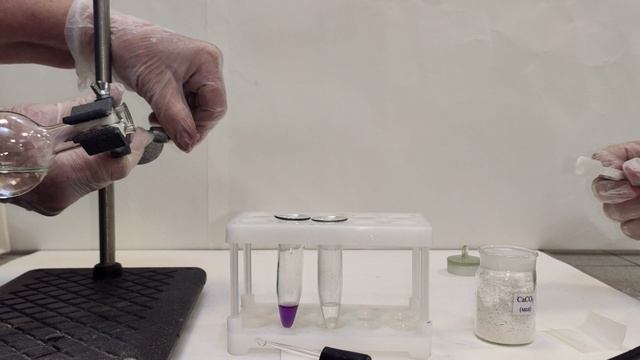 Лабораторная работа №1. Опыт 1. Получение и химические свойства диоксида углерода смотреть онлайн