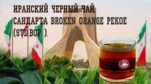 Иранский черный чай стандарта Broken Orange Pekoe  (std.BOP ).