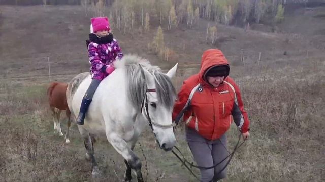 Верхом на лошади по кличке Белка в полях. смотреть онлайн
