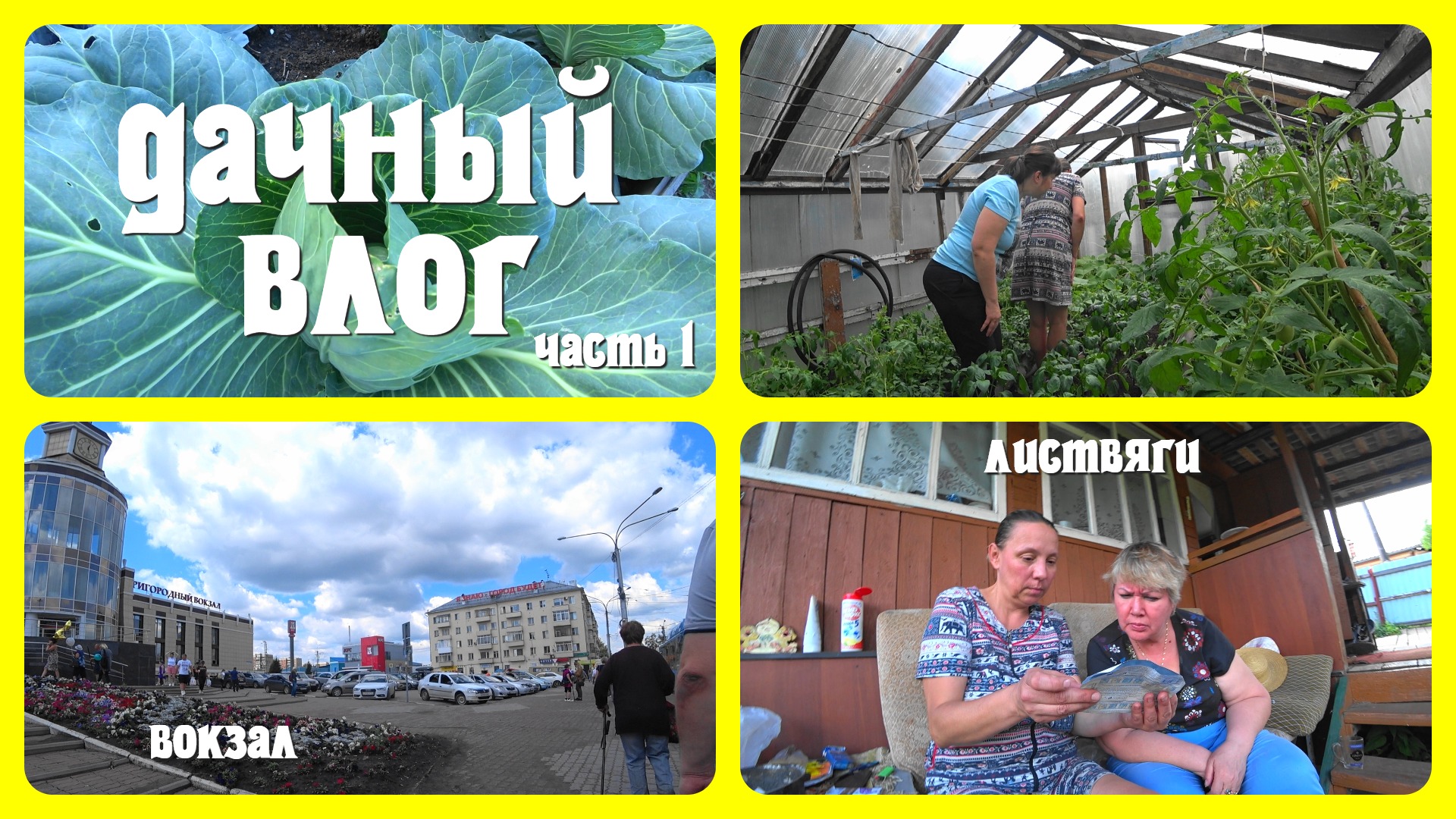 ДАЧНЫЙ ВЛОГ/НОВАЯ ПРОБЛЕМА/МОЙ ПЕРВЫЙ УРОЖАЙ/ЧЕМ ЛЕЧИТСЯ НАСТЯ/ч.1