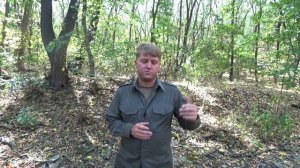 Когда подсекать щуку при ловле на живца с поплавочной удочкой