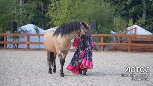 День вятской лошади 03.09.2022