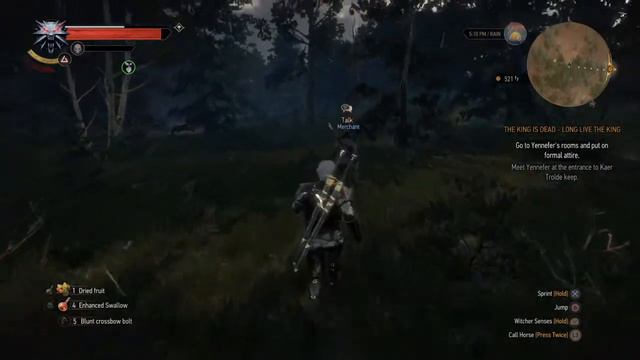 The Witcher 3 Wild Hunt – Elf Prisoner Followed him to his camp смотреть онлайн