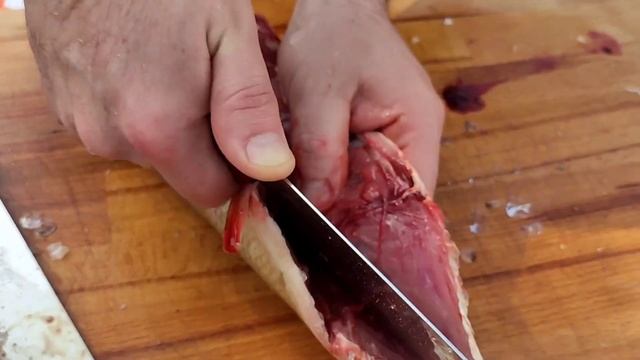 Шашлык из змейголовы//Змейголов на мангале смотреть онлайн