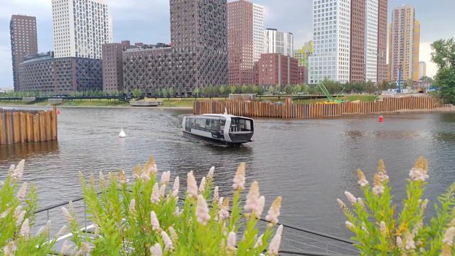 Речные трамвайчики на Москве-реке