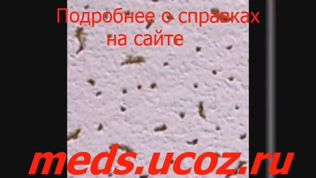 В балашихе медицинская справка для водителей смотреть онлайн