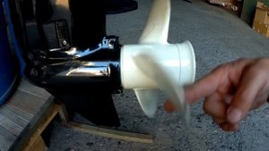 Немного о китах... для примера.