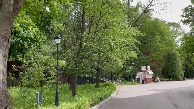 Калининградский зоопарк Встретили Ивана Затевахина Потерявшийся ПАВЛИН смотреть онлайн