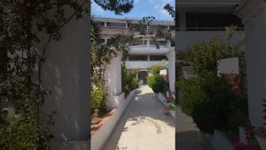 Kitty cats gardens side Antalya Sunday 15th September